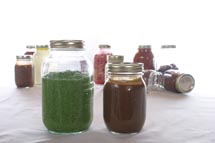 Basil Pesto Basil Pesto