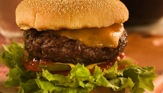 The Perfect Burger The Perfect Burger